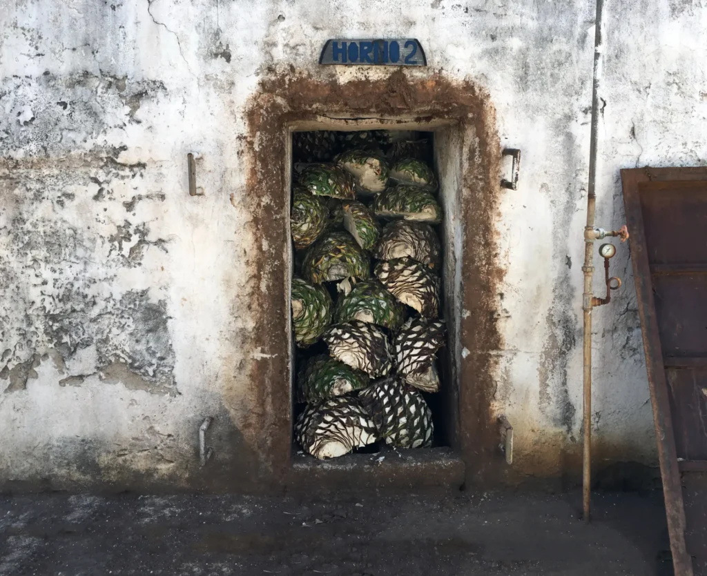 A white wall with an open door. Inside are the staked agaves. Above the door it is written "Horno 2".